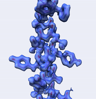 High-Resolution Structure