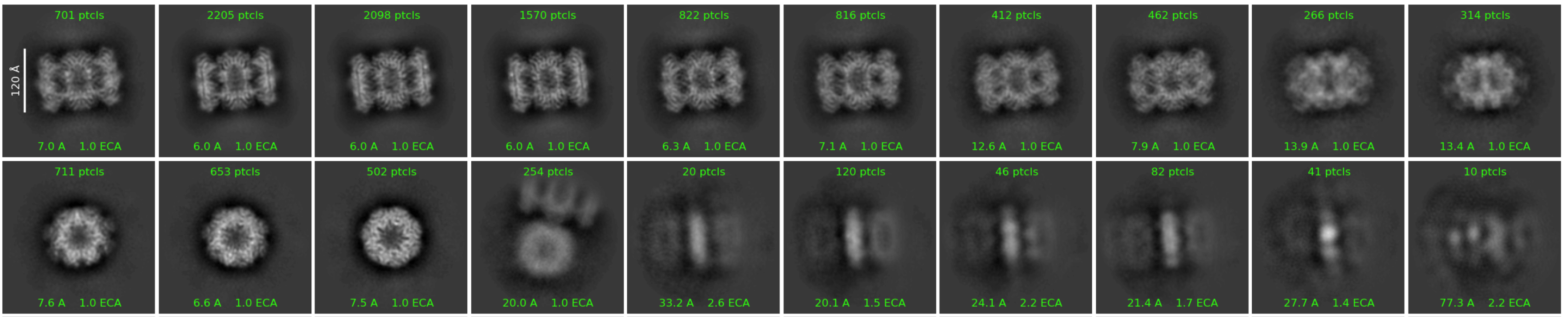 2D Classification similarity sort