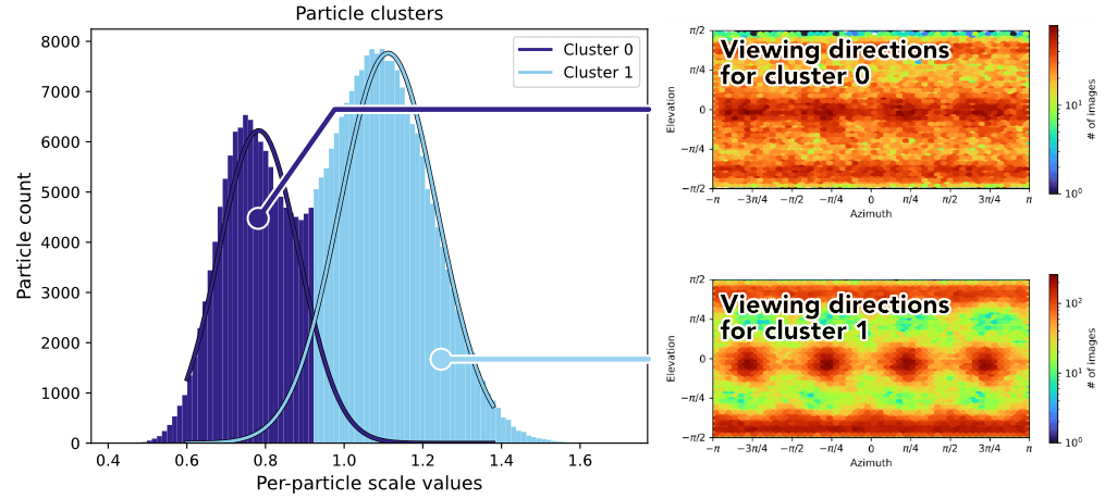 Per-particle scale optimization