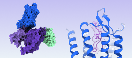 kor-gpcr-beta01-complex