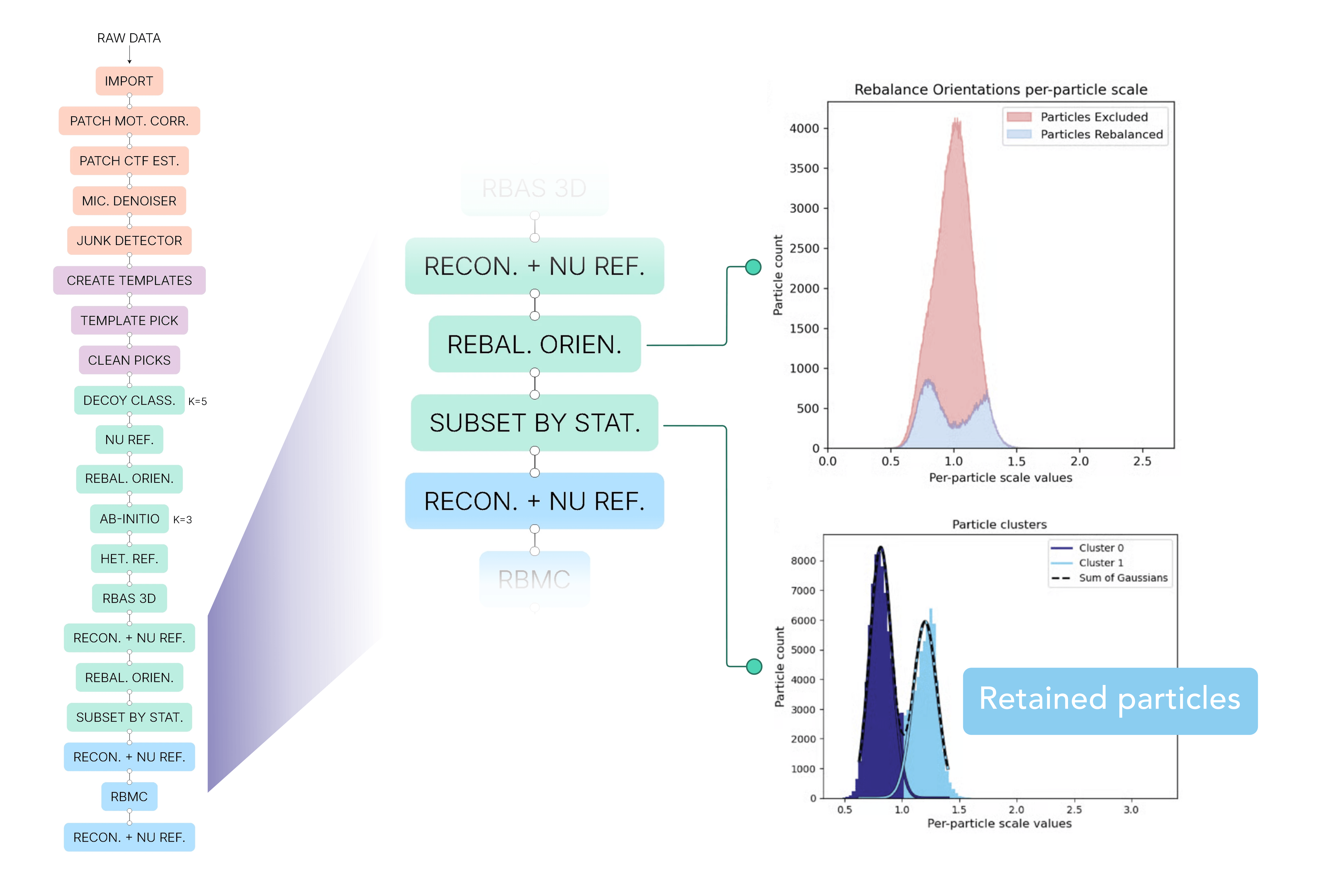 Workflow steps for rebalancing orientations and selecting the retained high-scale particle population