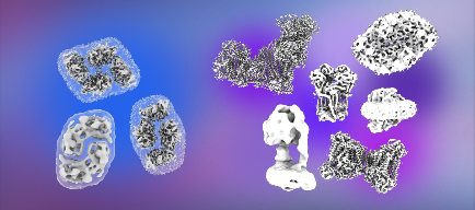 examples-discrete-heterogeneity