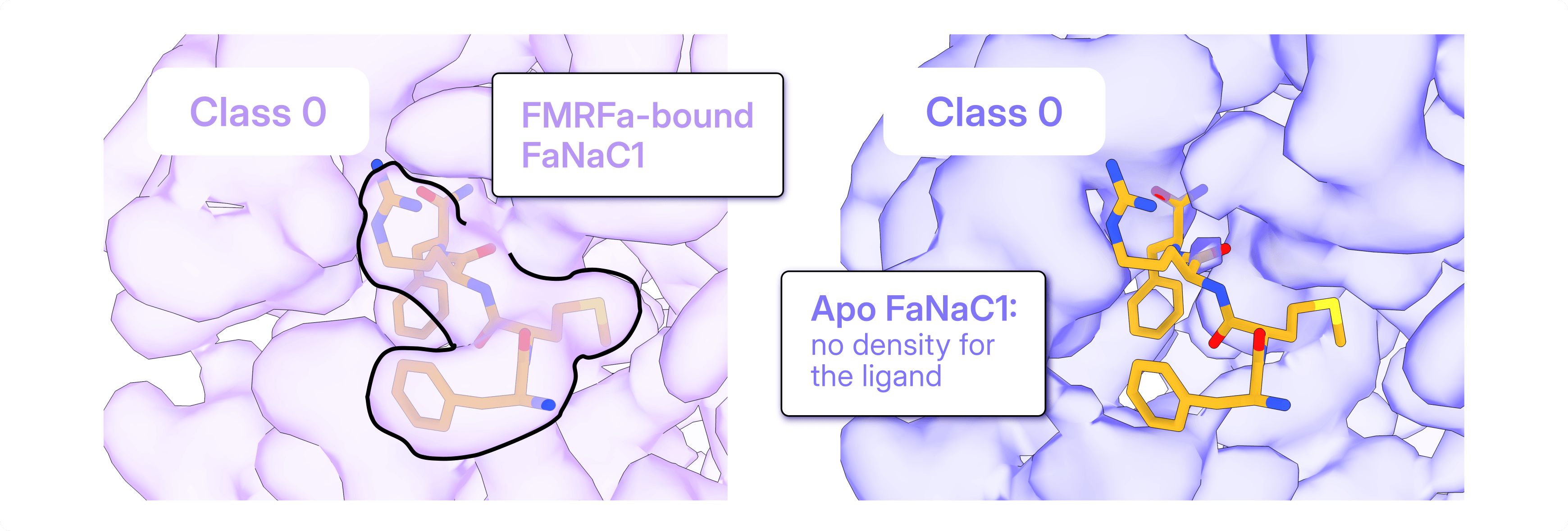 blog-fanac1-3D-Classification-aligned.png