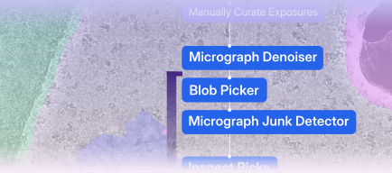 micrograph-denoiser-blob-picker-micrograph-junk-detector