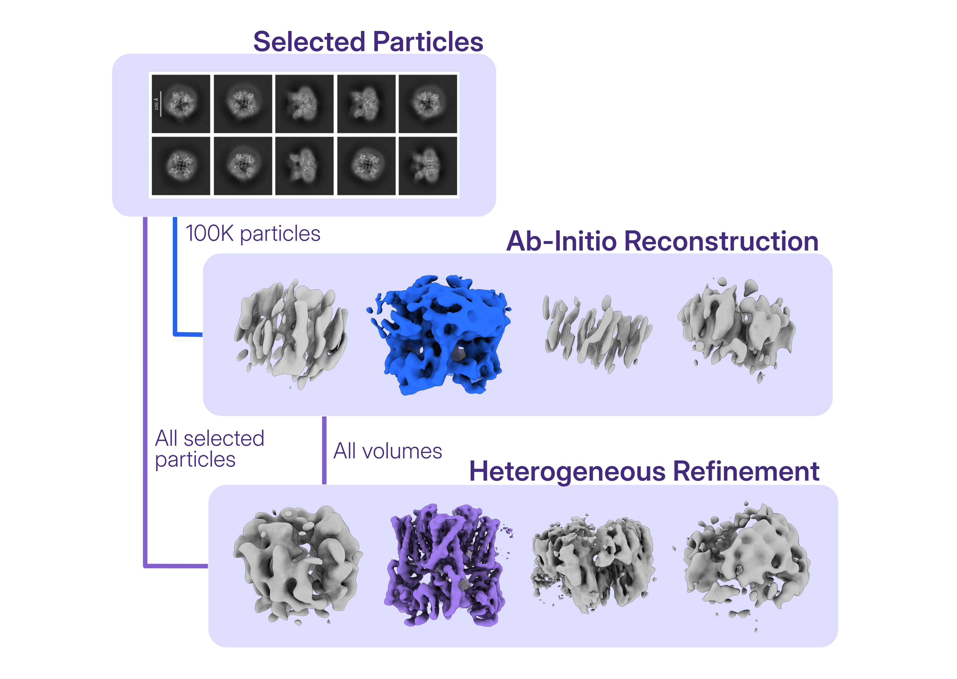In the case study DkTx-bound TRPV1, decoy classification was performed using all the volumes generated through multi-class Ab-Initio Reconstruction of a subset of particles.