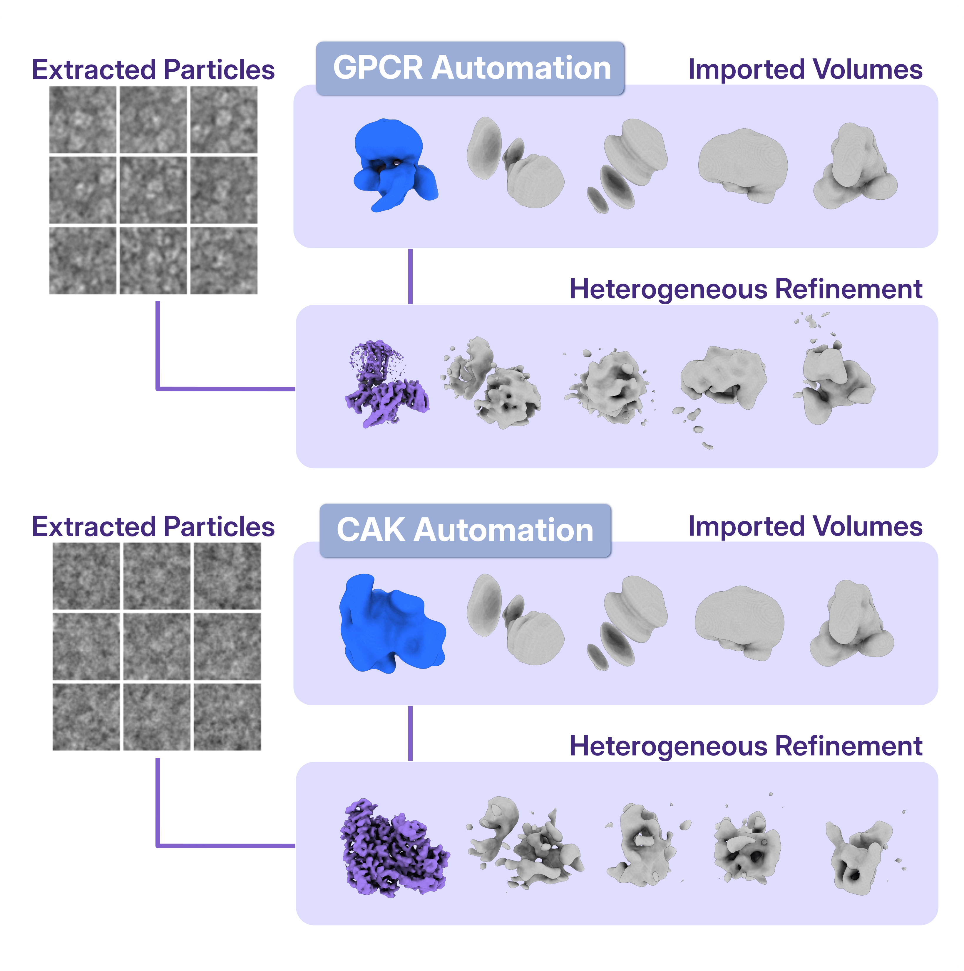 In the CryoSPARC Automated Workflows, the same junk volumes have been used in the implementation of both the Full automated data processing and Advanced automated data processing workflows.
