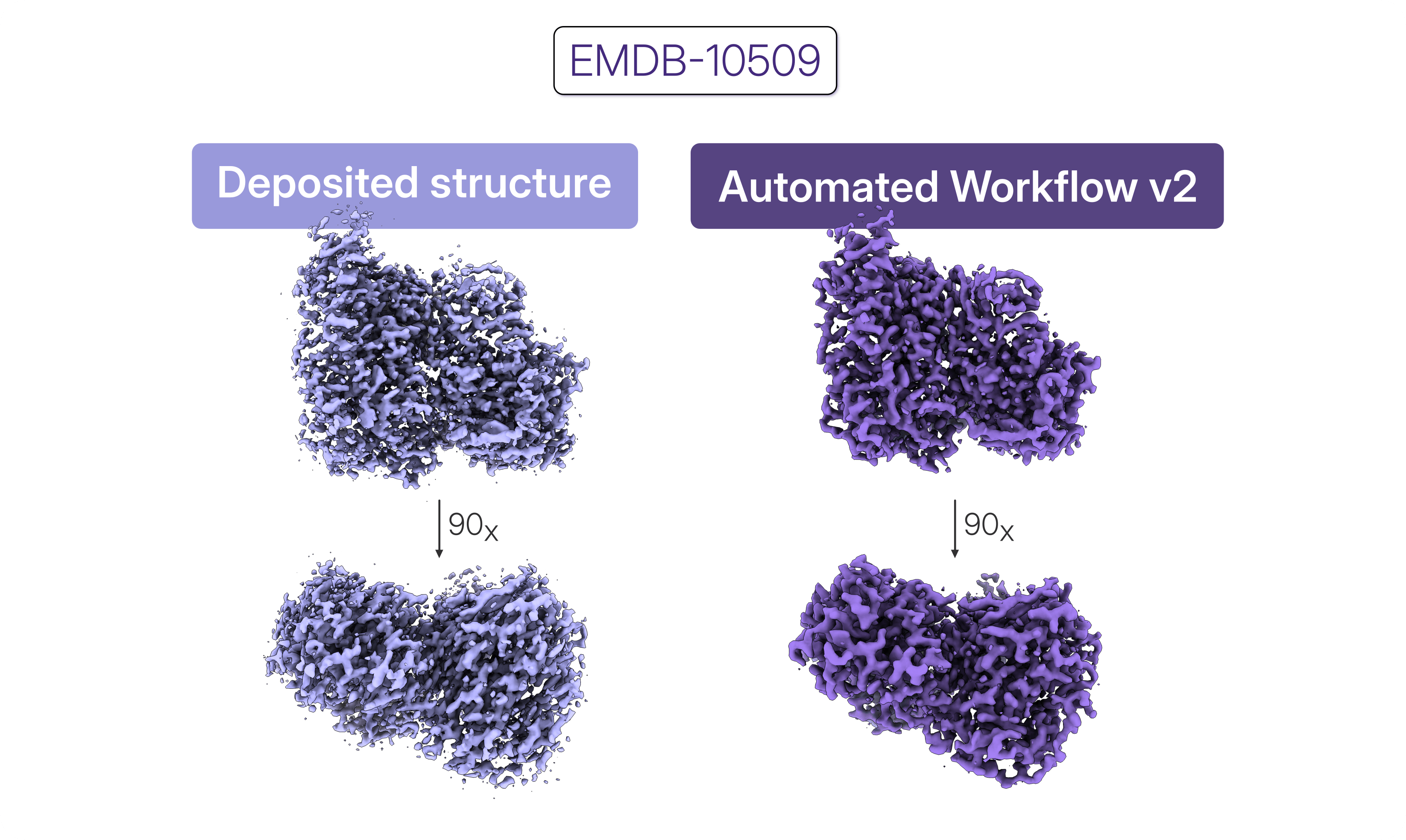 Comparison of the deposited CAK reconstruction with the reconstruction obtained from the same dataset using Automated Workflow v2, incorporating decoy classification for 3D particle cleanup
