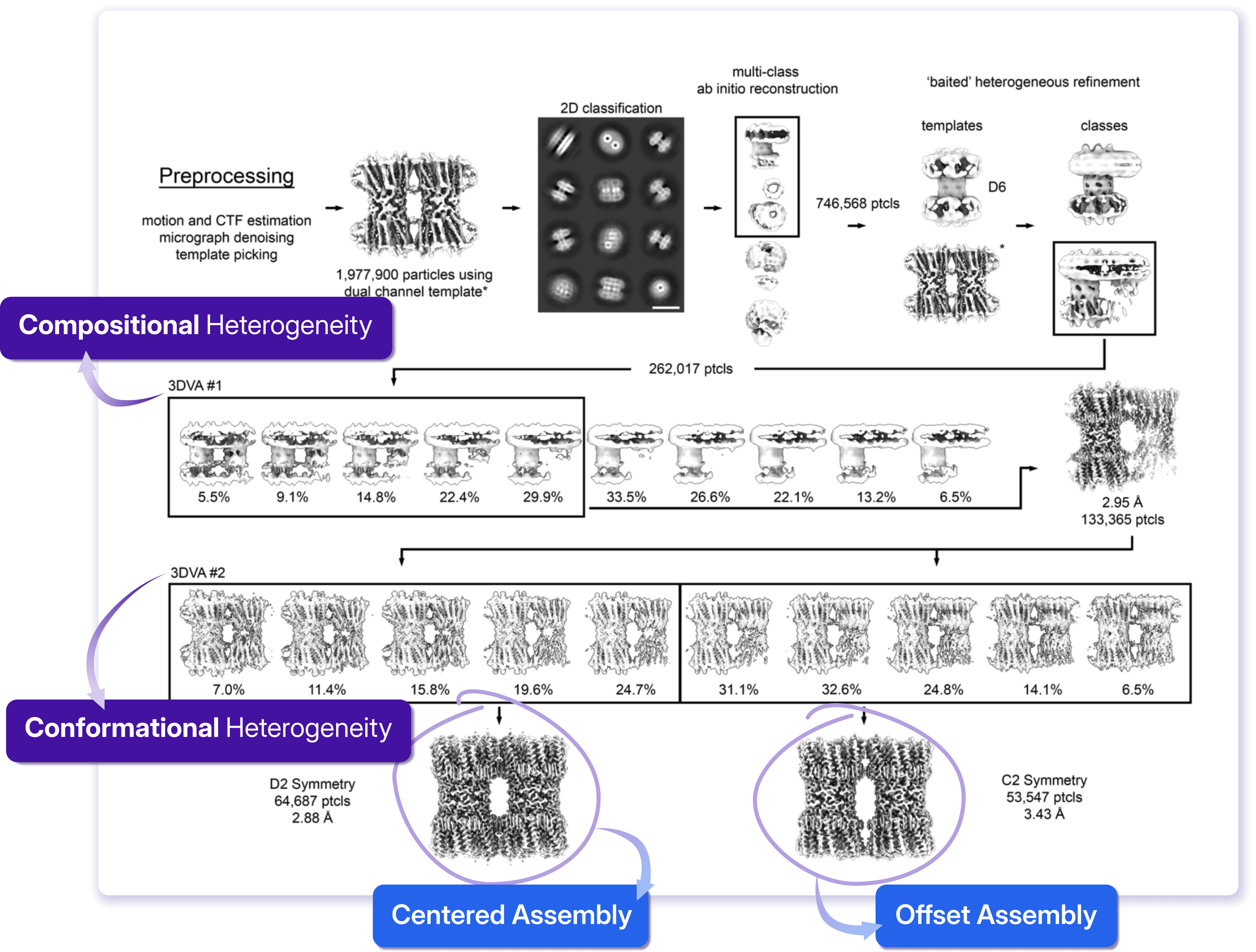 Figure adapted from [Garrels et al., 2026](https://www.biorxiv.org/content/10.64898/2026.05.28.728492v1).