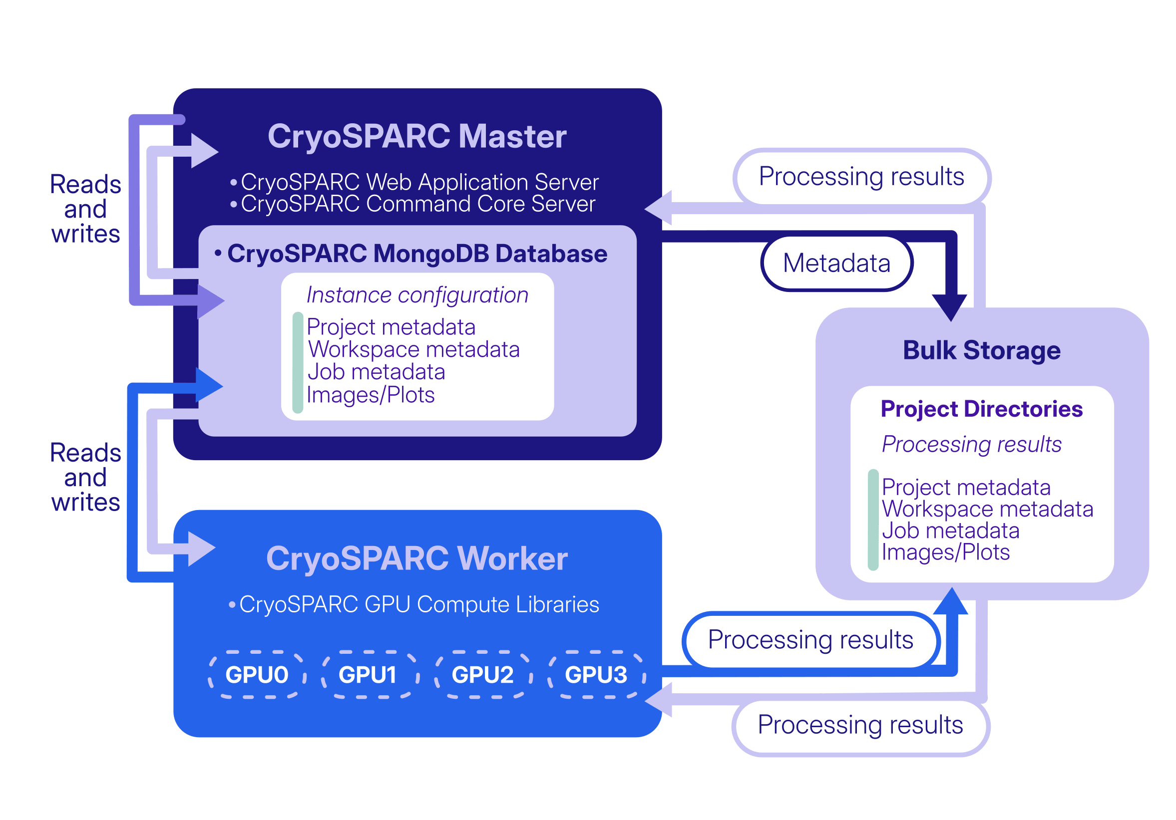 CryoSPARC architecture showing the database, workers, and project directories.