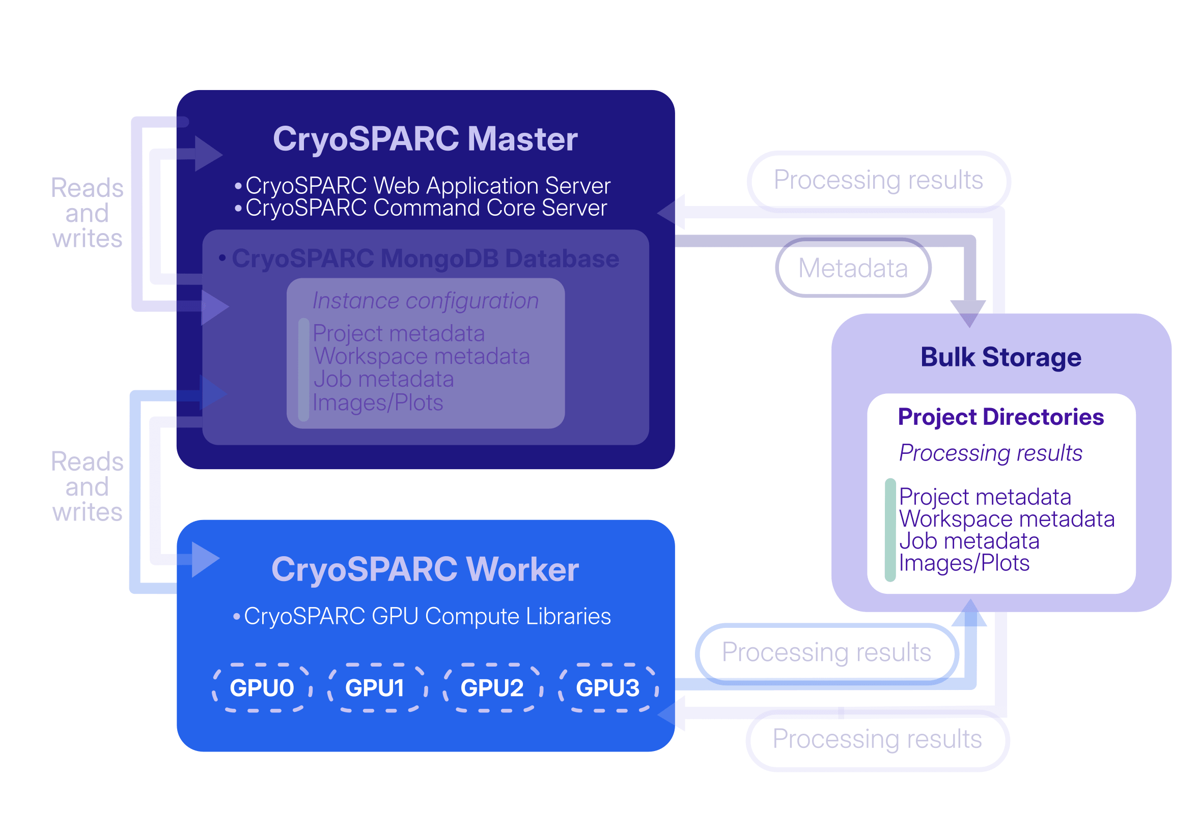 CryoSPARC architecture after database loss.