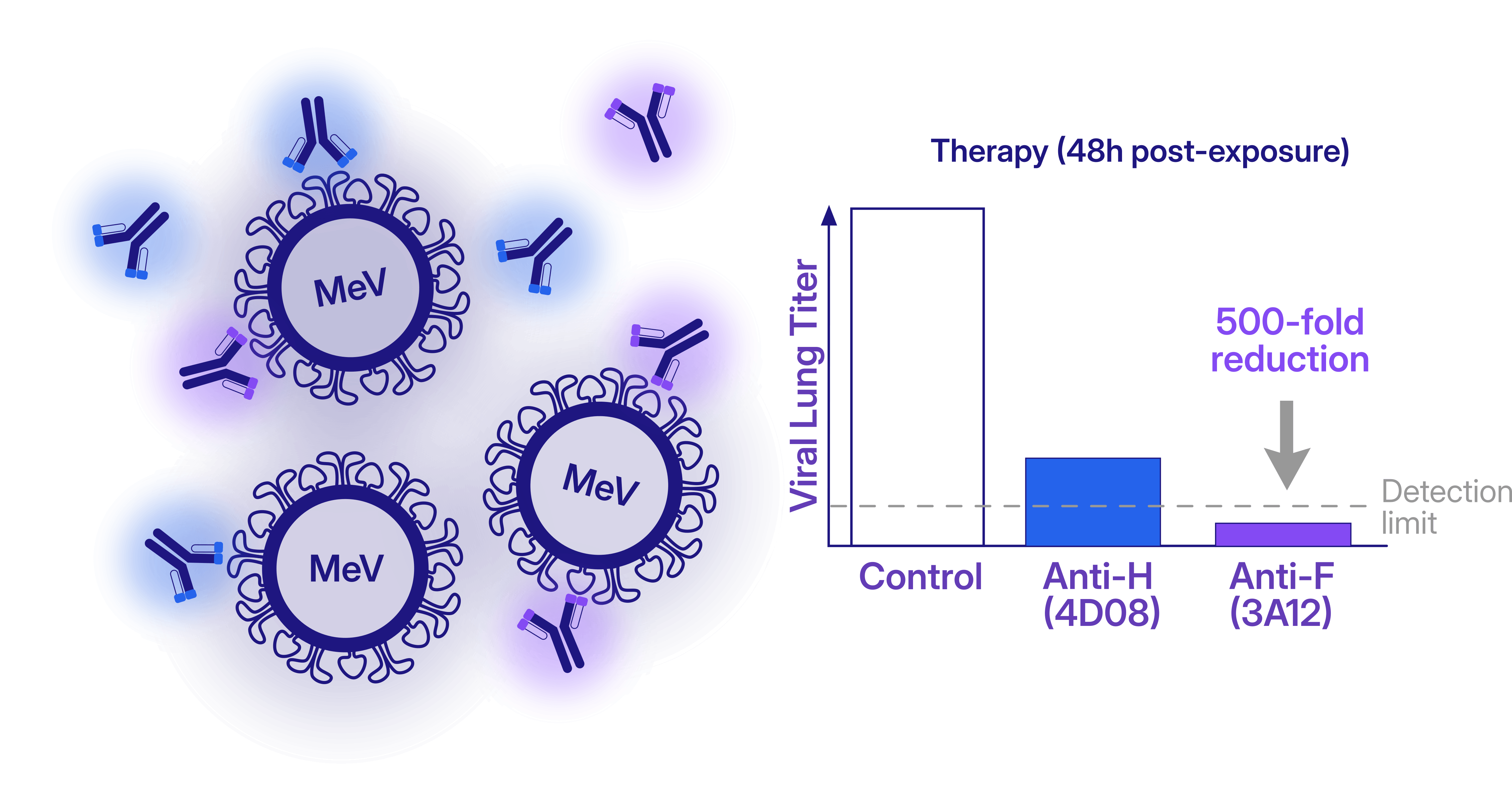 Therapeutic potential of mAbs