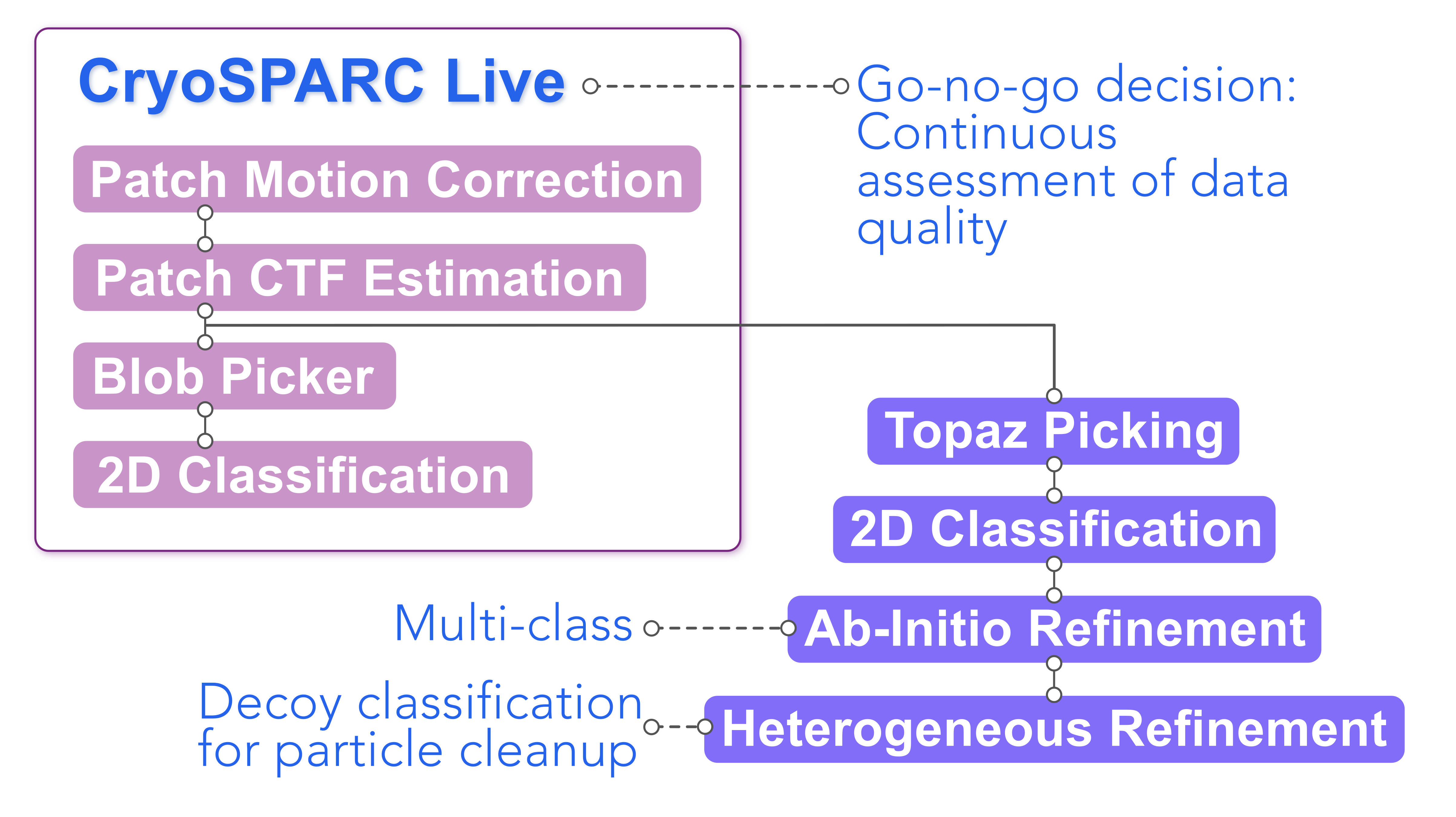 CryoSPARC Live preprocessing workflow followed by Topaz Picking, 2D Classification, and decoy classification