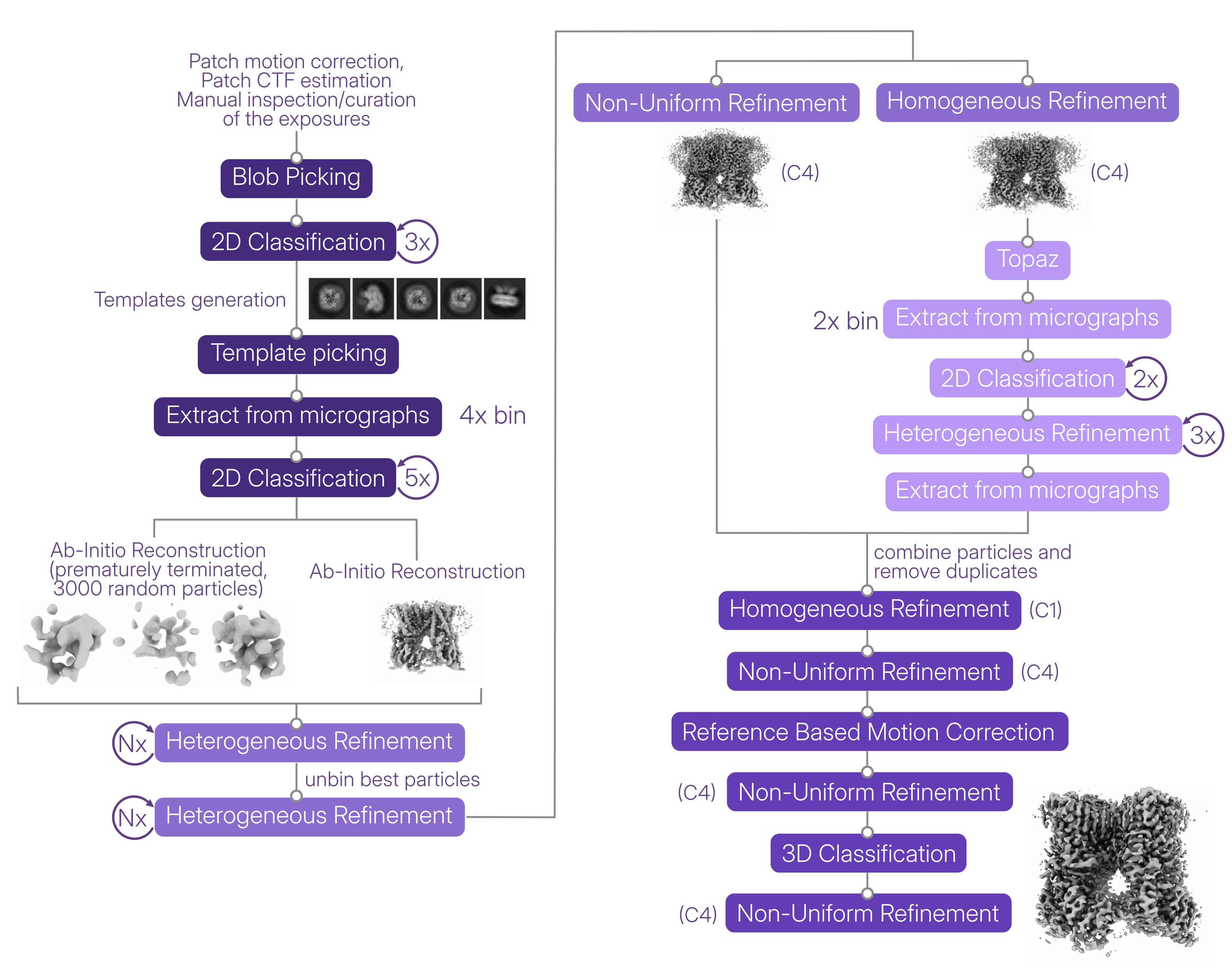 Data processing scheme for the TRPV1-MSP20 cryo-EM reconstruction.