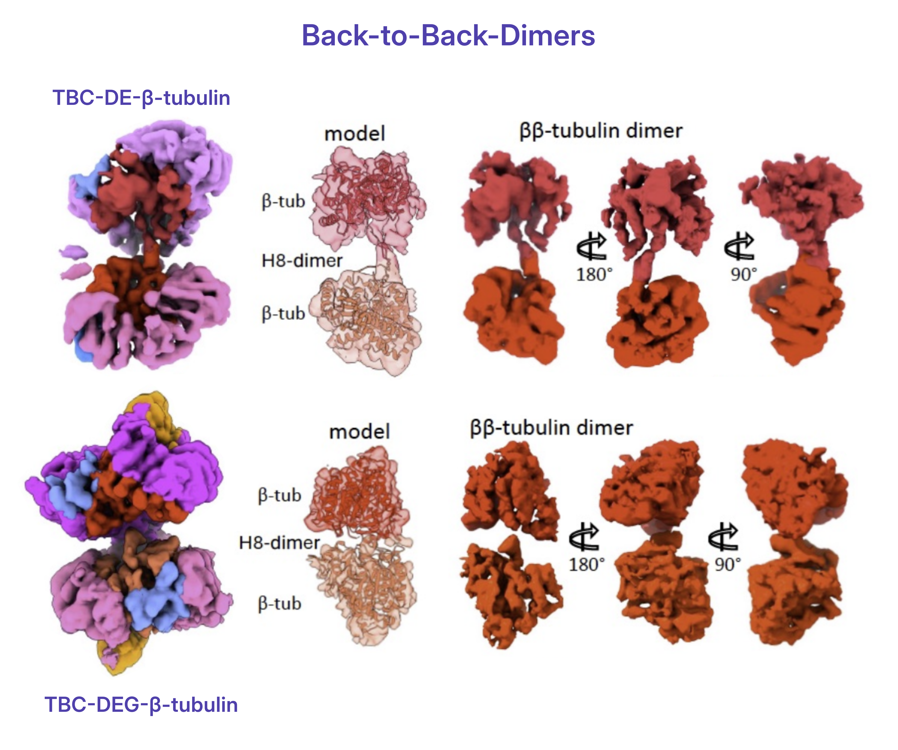 Figure adapted from [Taheri et al., 2026](https://www.science.org/doi/10.1126/sciadv.aee2303). 